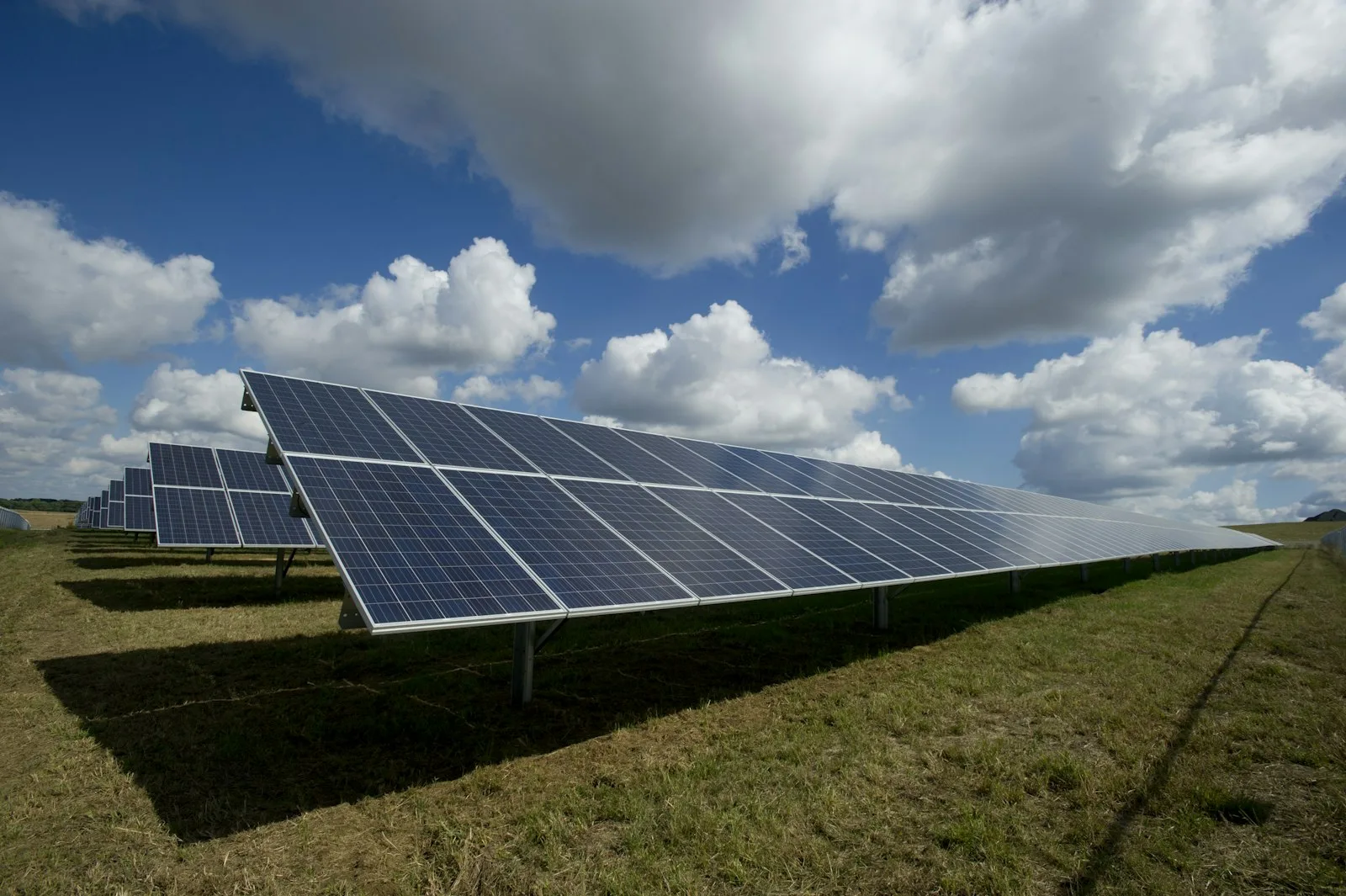 Proyectos de cambio climático