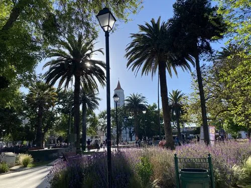 Valle de Casablanca, Región de Valparaíso